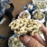 云南禄丰中村叽拉培养山精品干巴菌,支持电商.微商.淘宝…