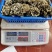 云南禄丰中村叽拉培养山精品干巴菌,支持电商.微商.淘宝…