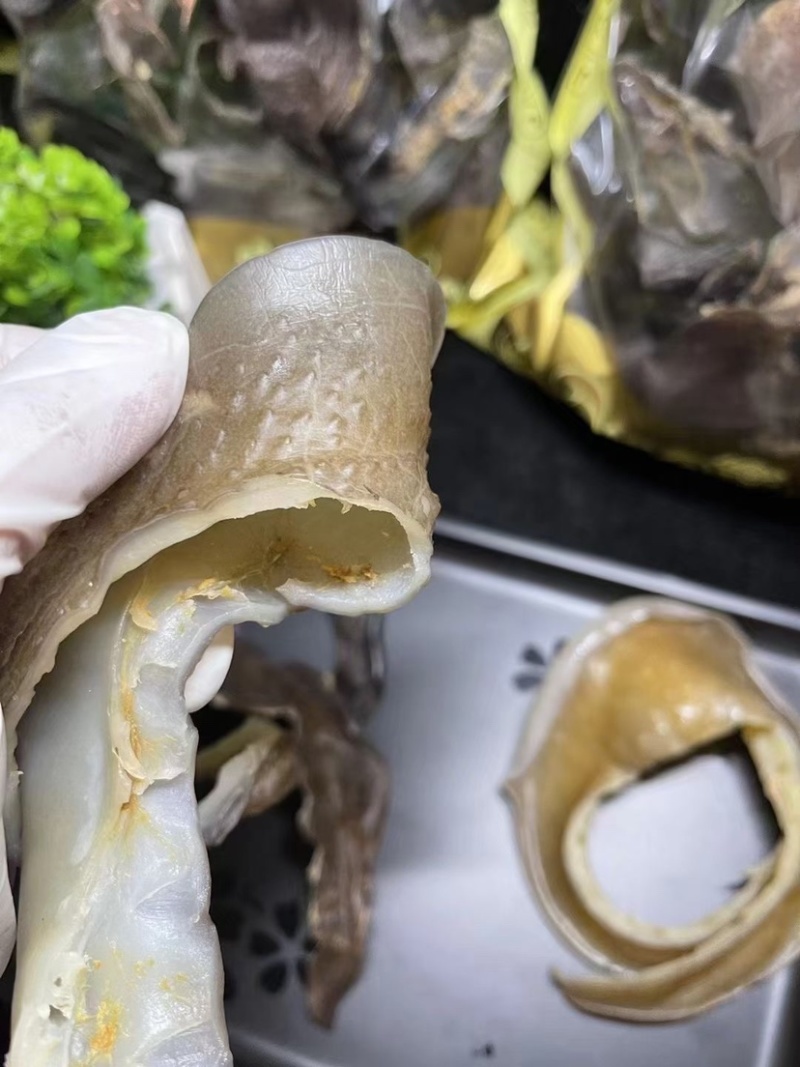 甲鱼裙边水鱼裙边团鱼裙边龟板胶裙边佛跳墙原料酒店食材