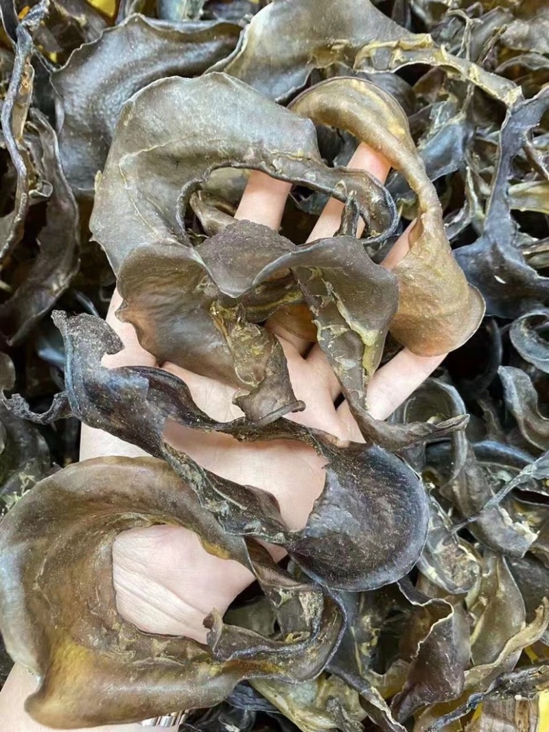 甲鱼裙边水鱼裙边团鱼裙边龟板胶裙边佛跳墙原料酒店食材