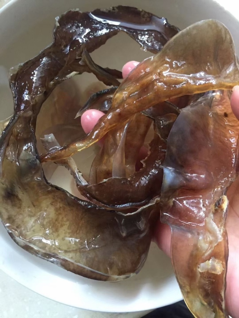 甲鱼裙边水鱼裙边团鱼裙边龟板胶裙边佛跳墙原料酒店食材