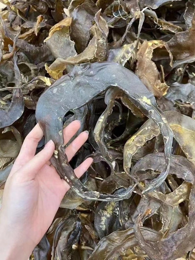 甲鱼裙边水鱼裙边团鱼裙边龟板胶裙边佛跳墙原料酒店食材