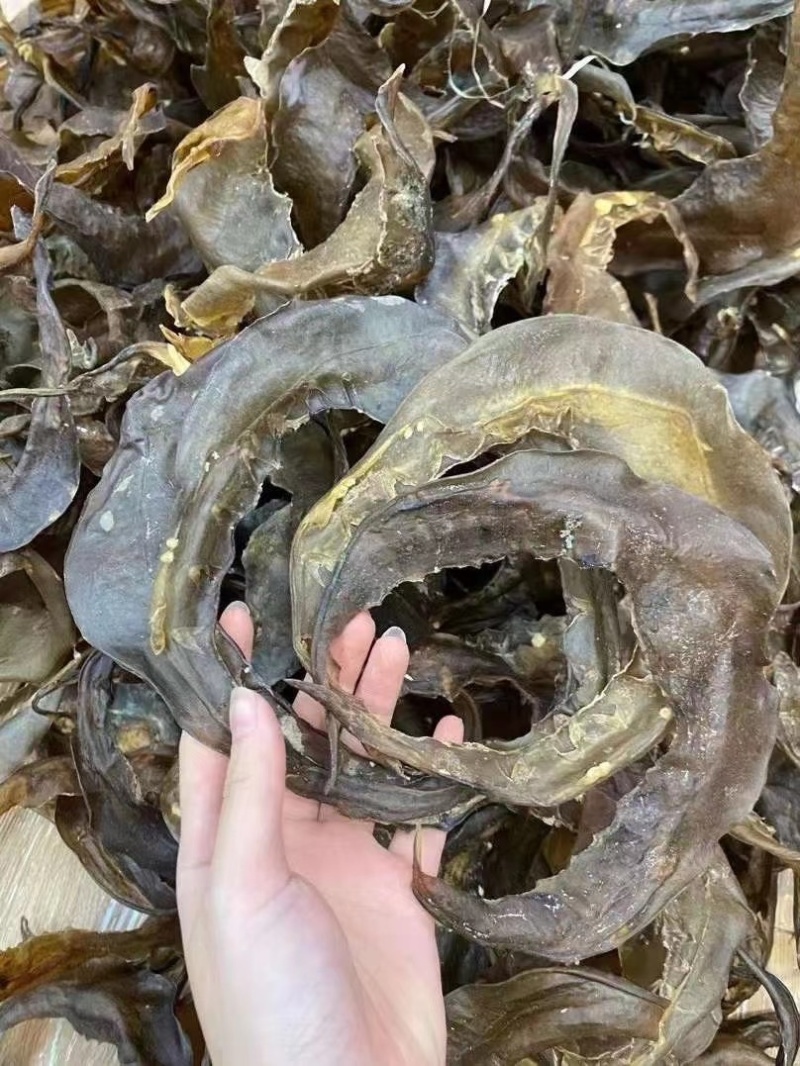 甲鱼裙边水鱼裙边团鱼裙边龟板胶裙边佛跳墙原料酒店食材