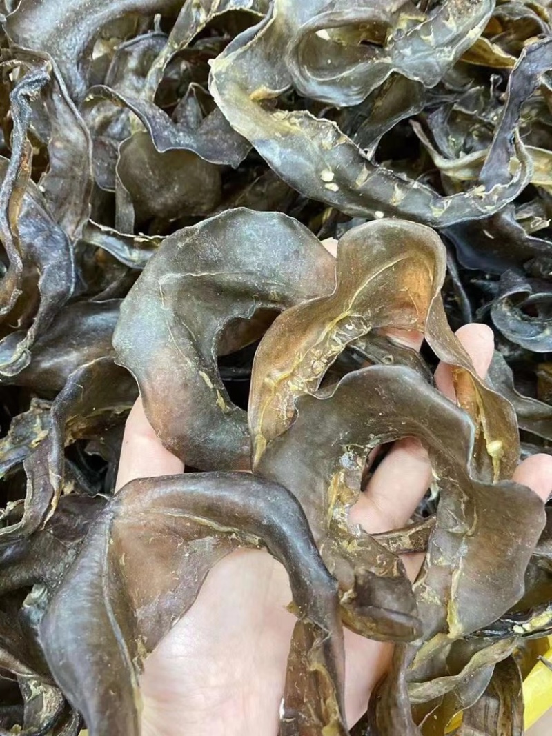 甲鱼裙边水鱼裙边团鱼裙边龟板胶裙边佛跳墙原料酒店食材