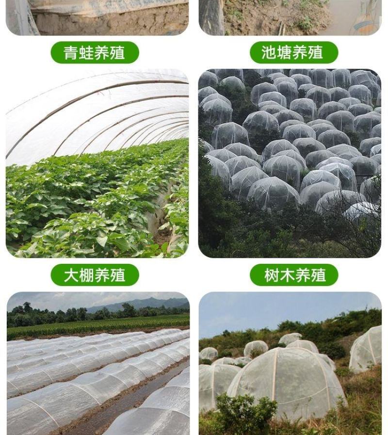 大棚防虫网果树果园网罩蔬菜植物防护网花卉农作物拱棚挡虫网