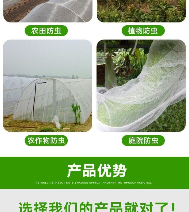 大棚防虫网果树果园网罩蔬菜植物防护网花卉农作物拱棚挡虫网