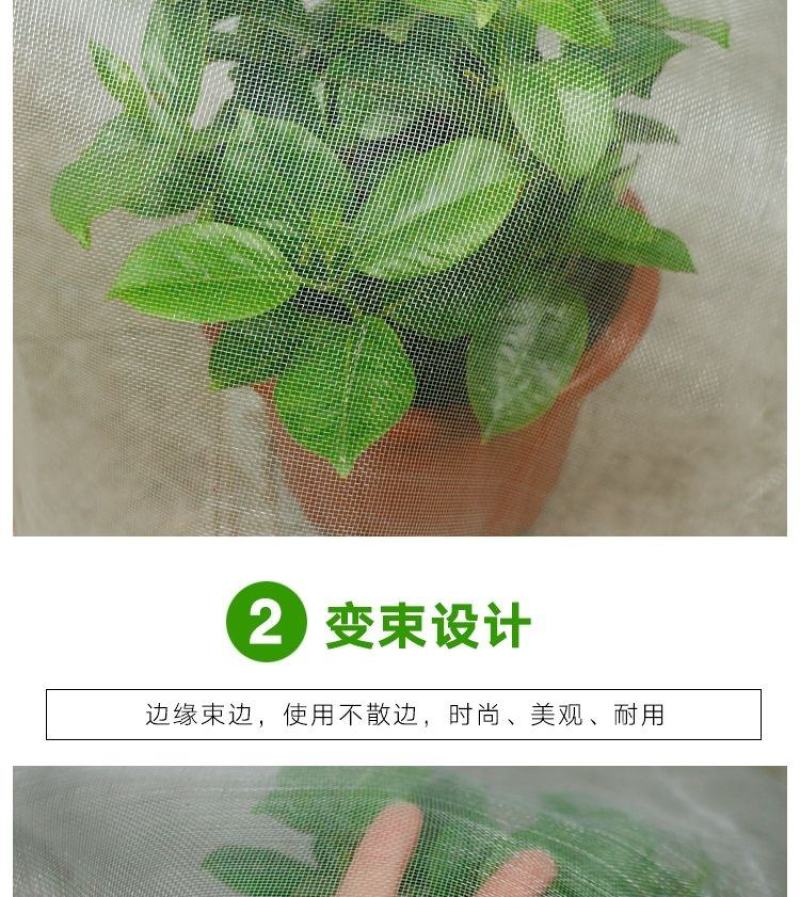 大棚防虫网果树果园网罩蔬菜植物防护网花卉农作物拱棚挡虫网