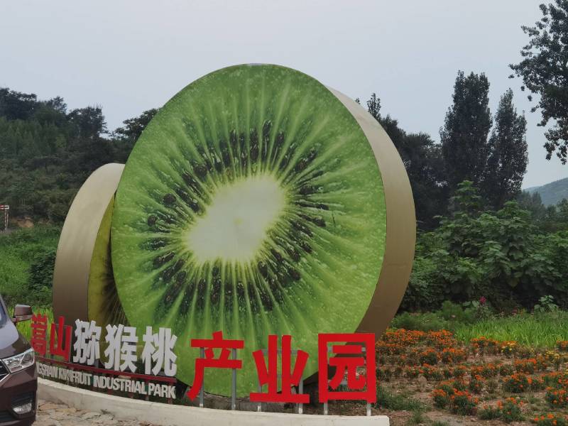 泥猴桃，奇异果，绿心泥猴桃山东省临朐县鑫宝果蔬专业合作社