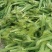 玉米笋大量上市基地种植质量保障一手货源