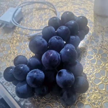 巨峰葡萄