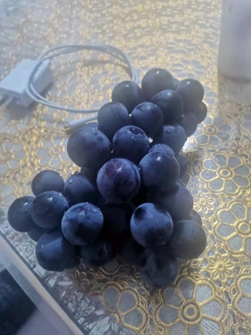 巨峰葡萄