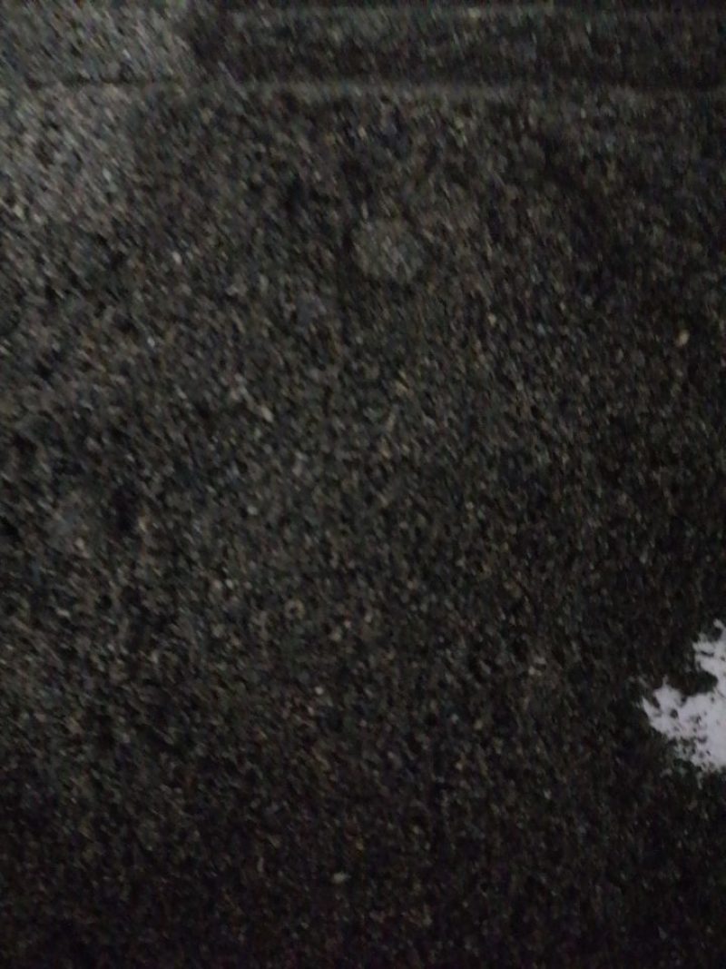 现磨自己种的无化肥无污纯熟黑芝麻粉纯现磨纯黑芝麻粉纯下单