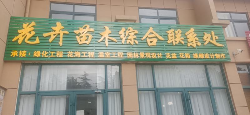 青州学起花卉，红花檵木，基地直销可视频看货