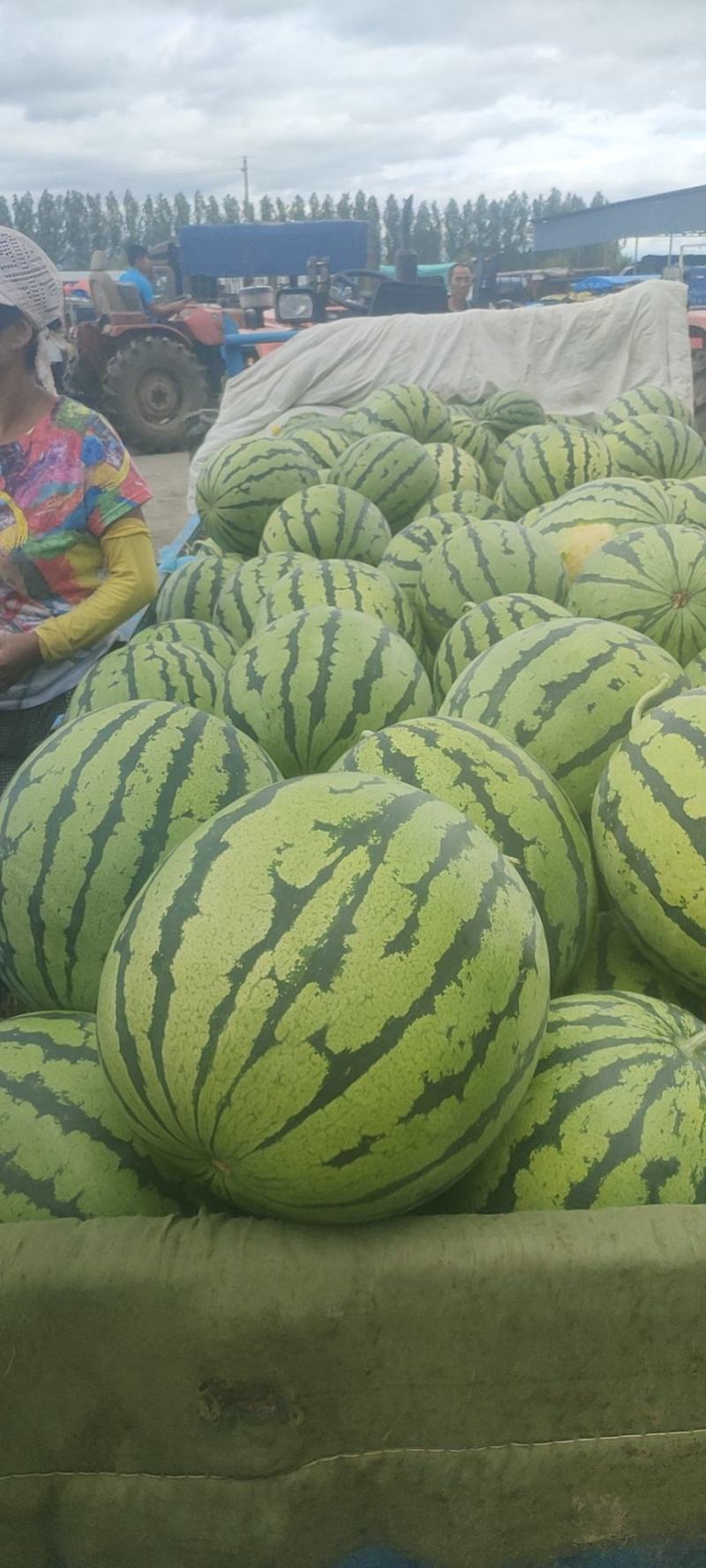 花雷