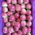 辽宁123苹果上市热销，产地直发，可视频看货。
