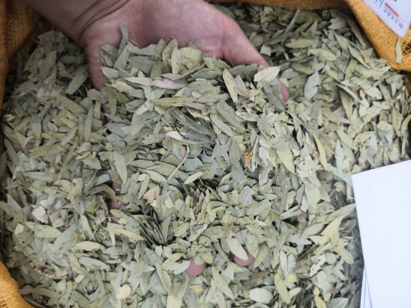 无流番泻叶净货各种中草药批发新货大货批发