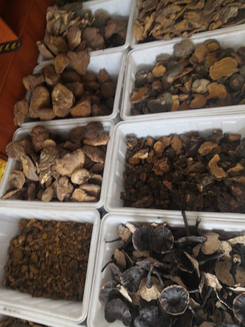 无流黑灵芝灵芝新货大货批发中磨粉量大从优