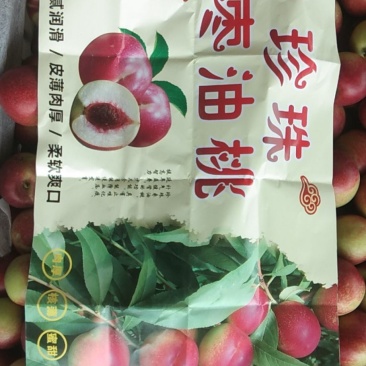 珍珠枣油桃