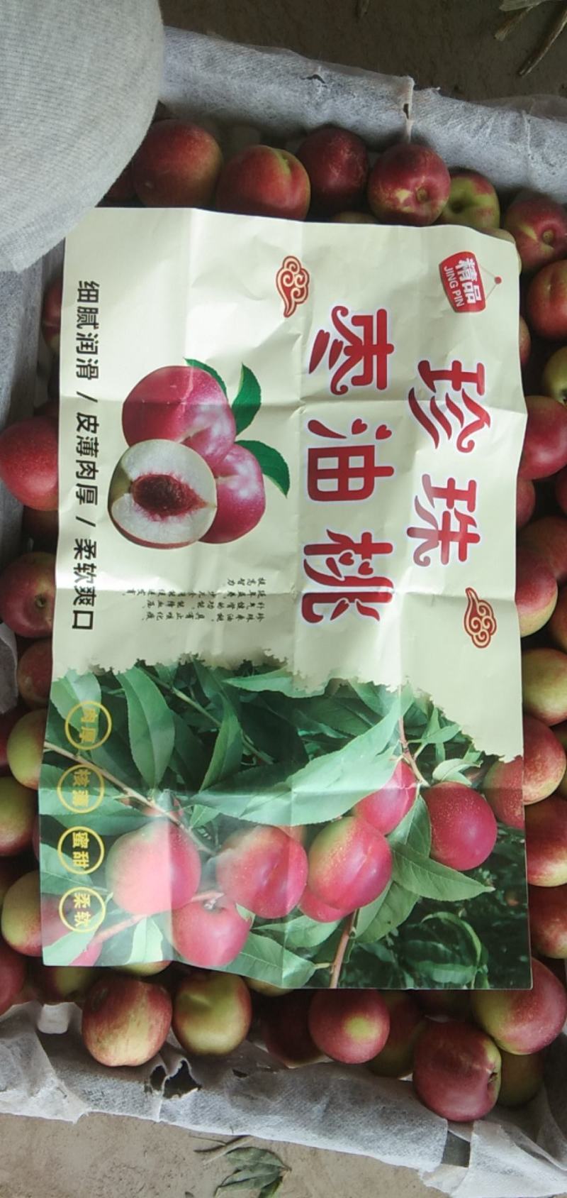 珍珠枣油桃
