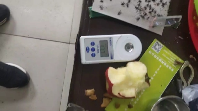 昭通早熟华硕苹果，以上市早冰糖心实足，含糖量高，