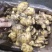 【推荐】老姜辣味十足姜块厚重【支持全国发货坏烂包赔】