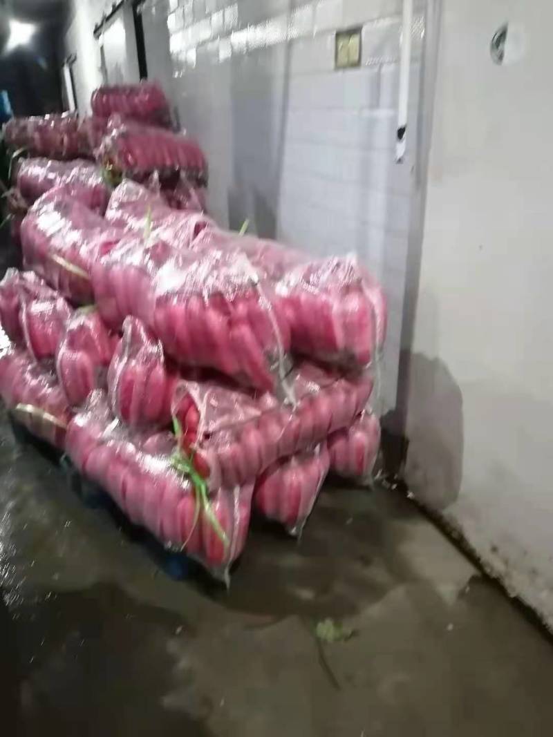 湖北长阳高山精品红皮萝卜大量上市产地直供诚信经营