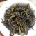 高山茶潮汕惠来土山茶汀洋八仙茶福建乌龙茶高山茶叶1斤茶叶