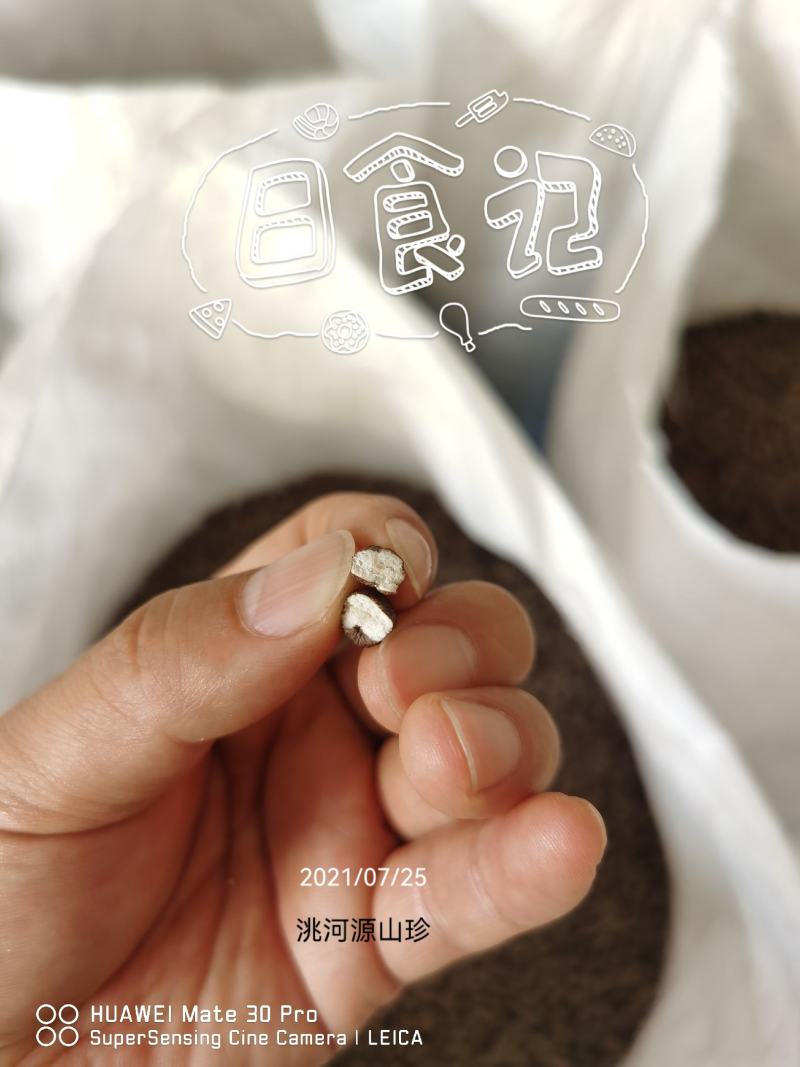 蕨麻青藏高原人参果，2025年甘南新货产地直供大量批发