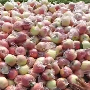美八🍎苹果产地直销量大价格低