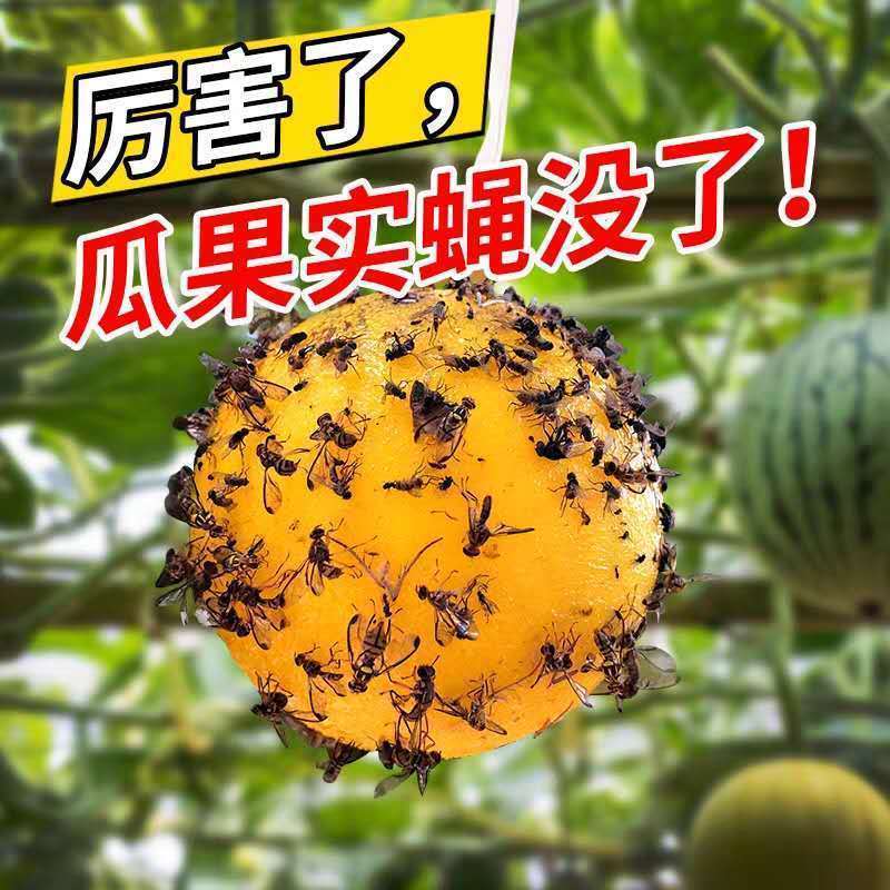 （包邮）大实蝇柑橘诱蝇球诱虫球小实蝇针蜂粘诱球