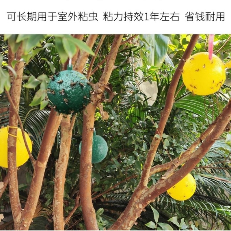 （包邮）大实蝇柑橘诱蝇球诱虫球小实蝇针蜂粘诱球