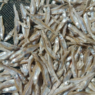 杂鱼干