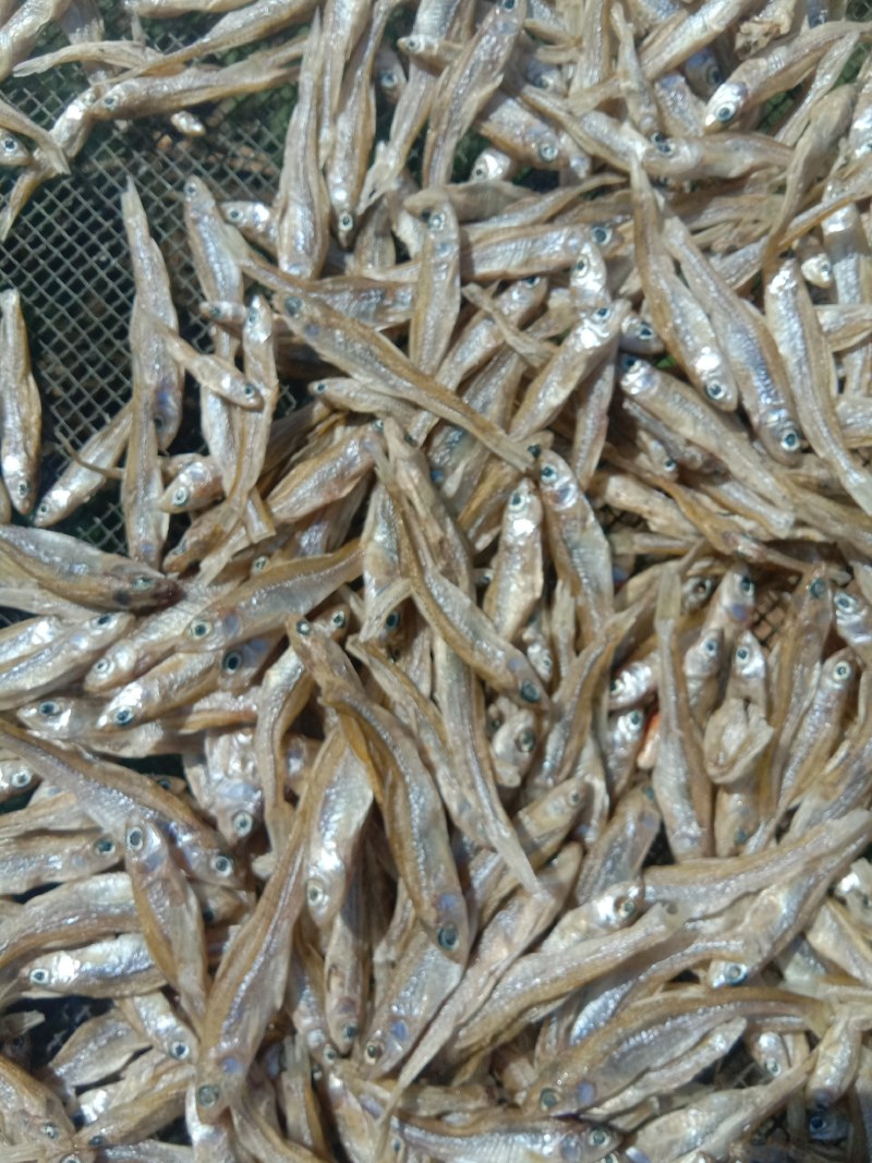 杂鱼干