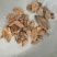 产地直销白芨殴白芨低价出售包邮