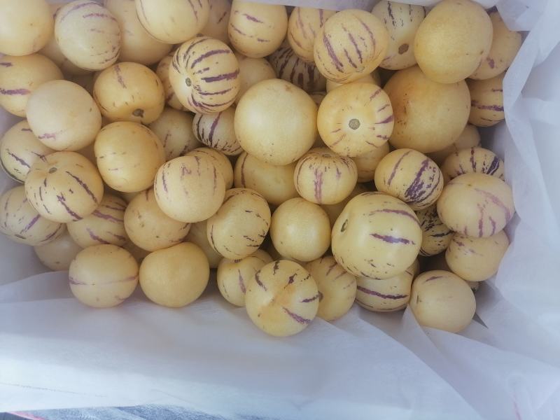 云南七彩人生果，外观花纹特别，产地基地直供，欢迎各位前来