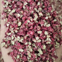 陇南花椒