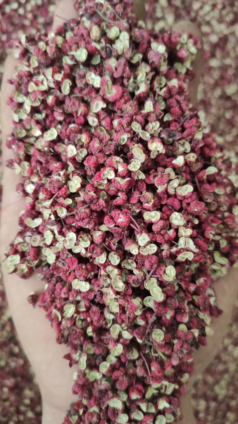 陇南花椒