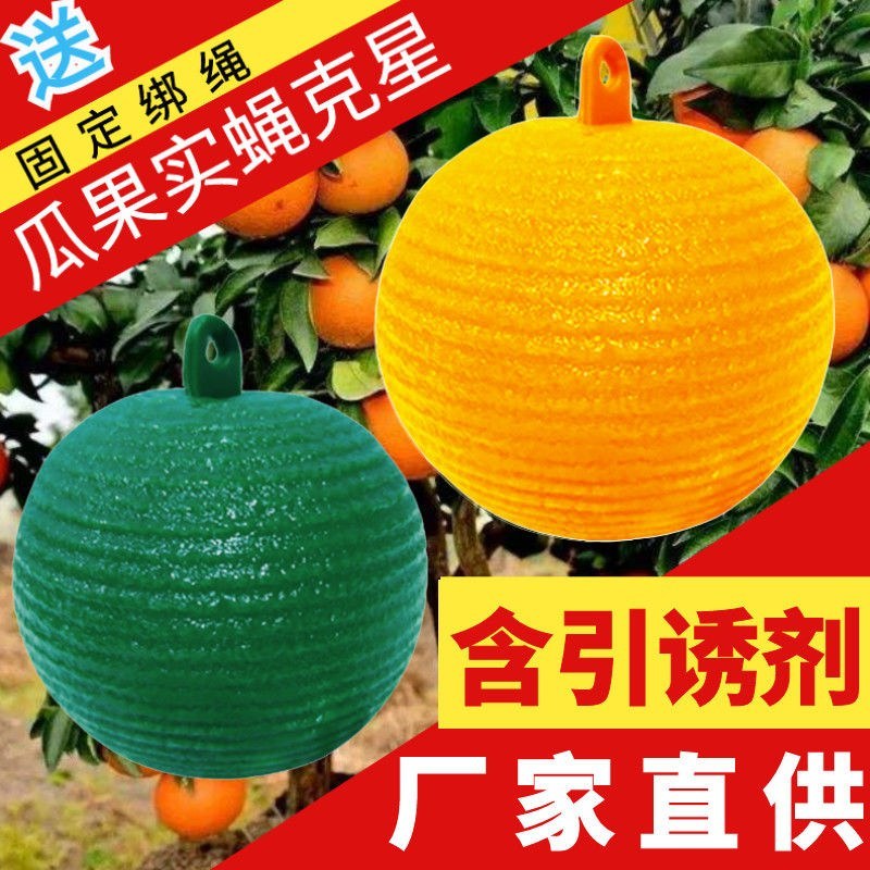 包邮）瓜果实蝇诱蝇球杀针蜂灭柑橘大小实蝇诱捕器果园粘虫球
