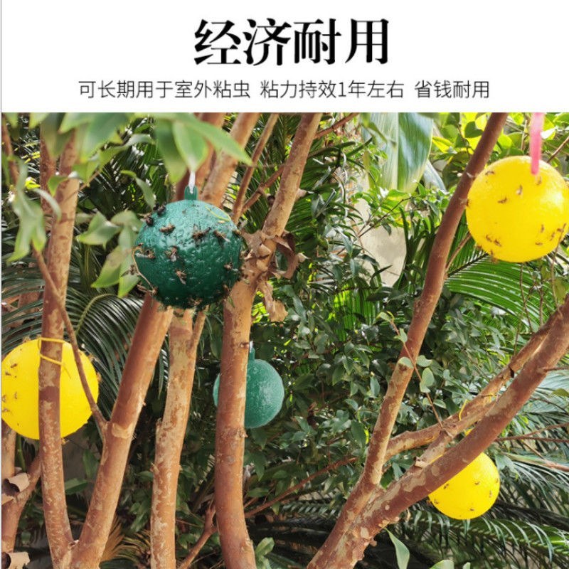 包邮）瓜果实蝇诱蝇球杀针蜂灭柑橘大小实蝇诱捕器果园粘虫球