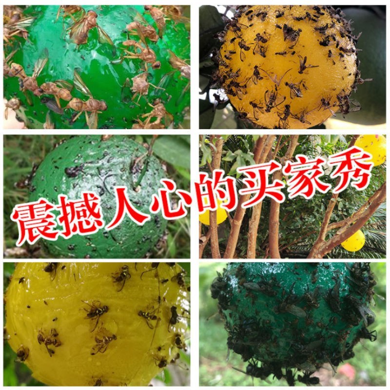 包邮）瓜果实蝇诱蝇球杀针蜂灭柑橘大小实蝇诱捕器果园粘虫球