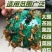 包邮）瓜果实蝇诱蝇球杀针蜂灭柑橘大小实蝇诱捕器果园粘虫球