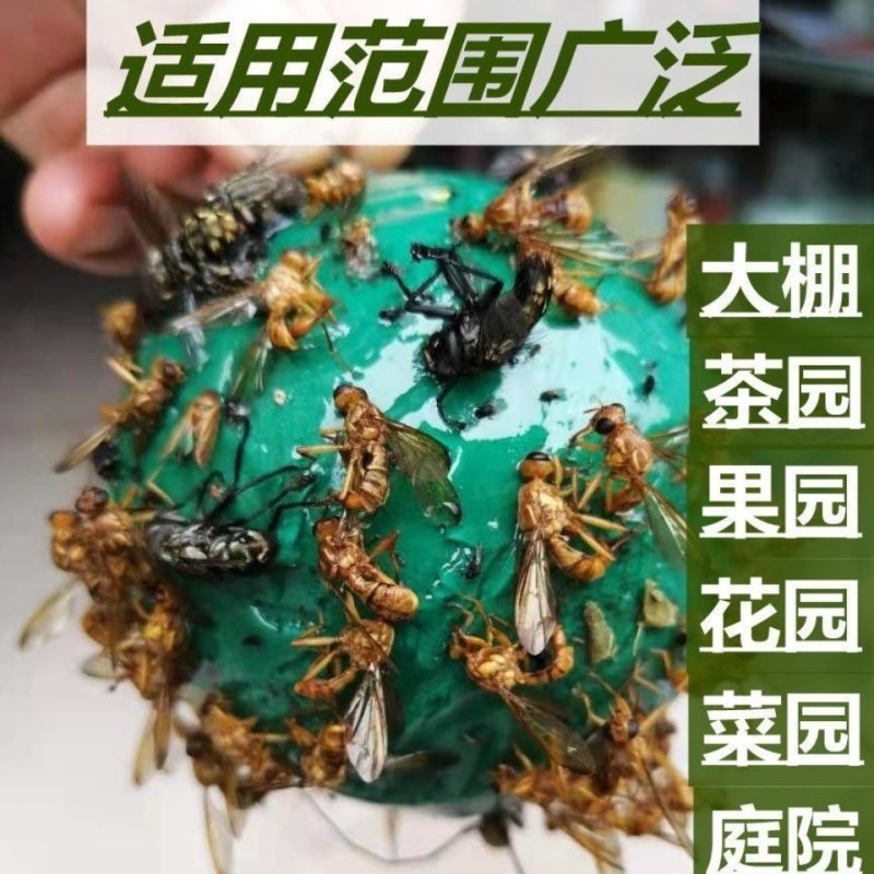 包邮）瓜果实蝇诱蝇球杀针蜂灭柑橘大小实蝇诱捕器果园粘虫球