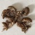 蝉蜕金蝉衣金蝉壳水洗干净无杂质