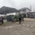 浙江宁波慈溪西三本地鲜雪菜采用先进的加工手法，干净绿色