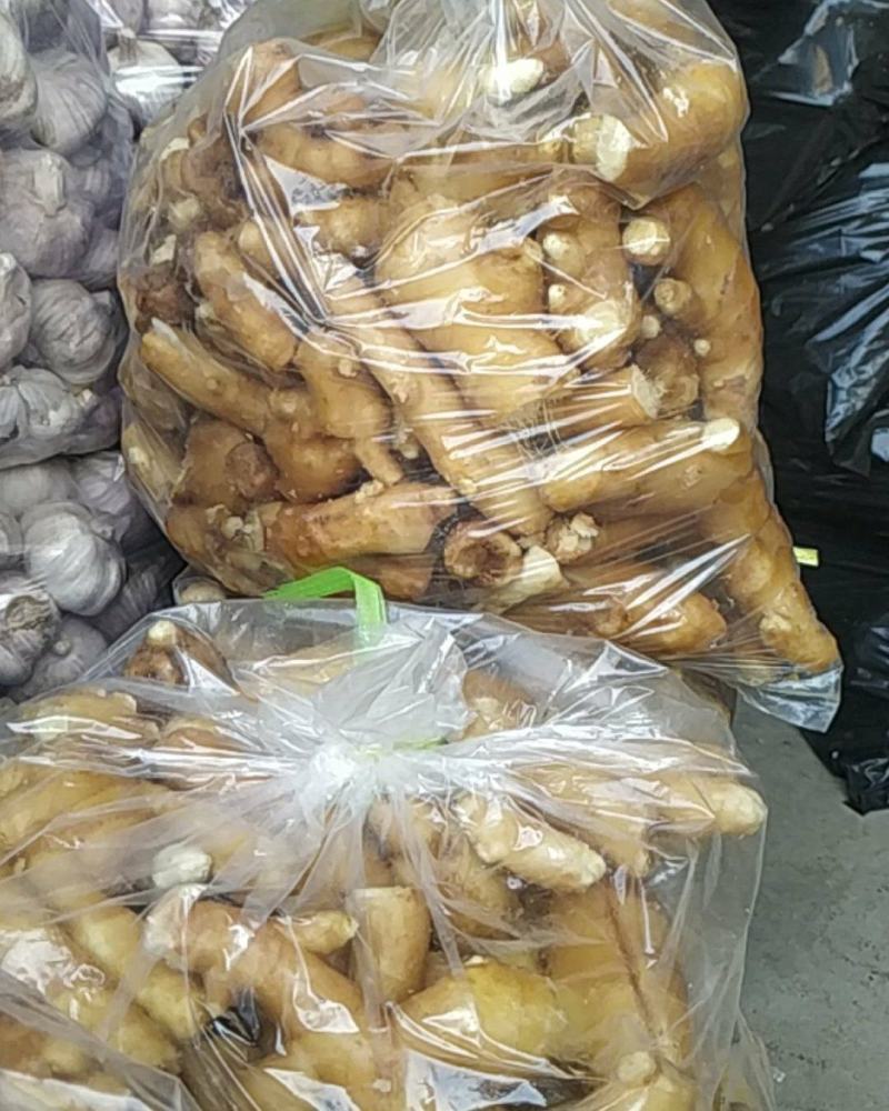 药厂入药姜