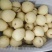 【诚信经营】赵县水晶梨代收代发电商果食品厂合作欢迎咨询