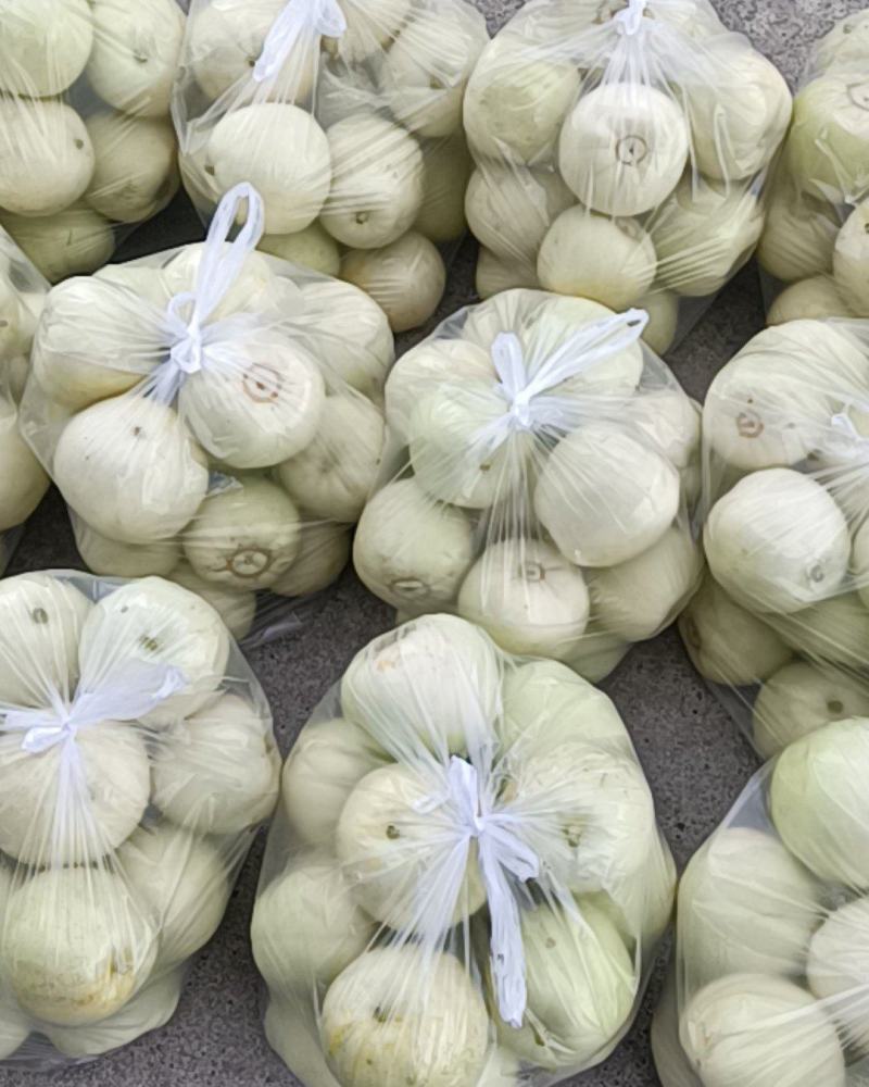 精品香瓜