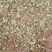 马蹄金，中药材马蹄金，