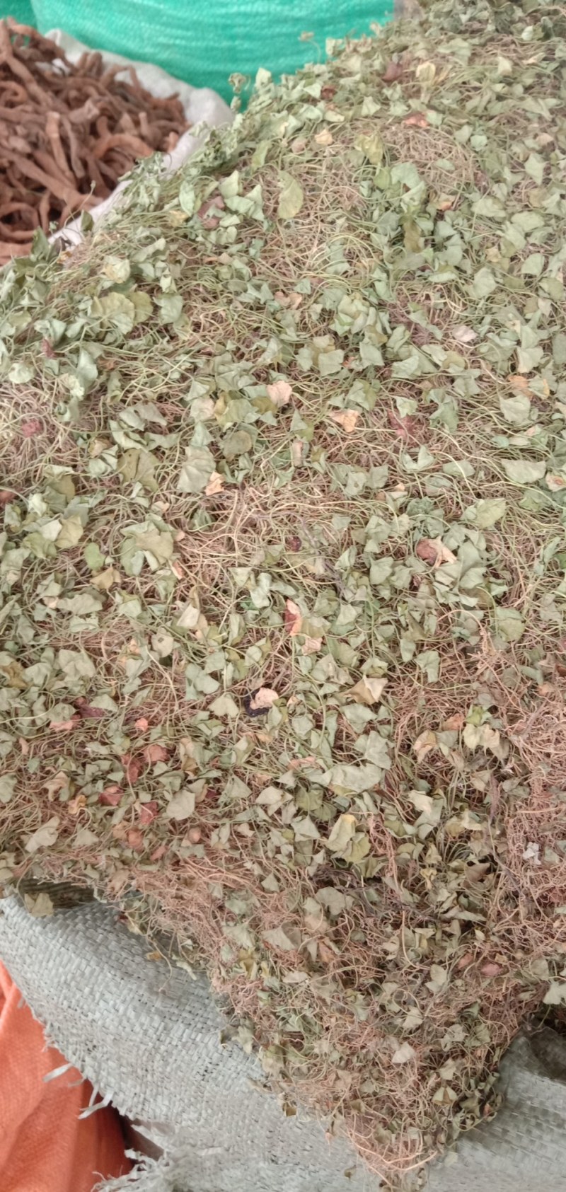 马蹄金，中药材马蹄金，