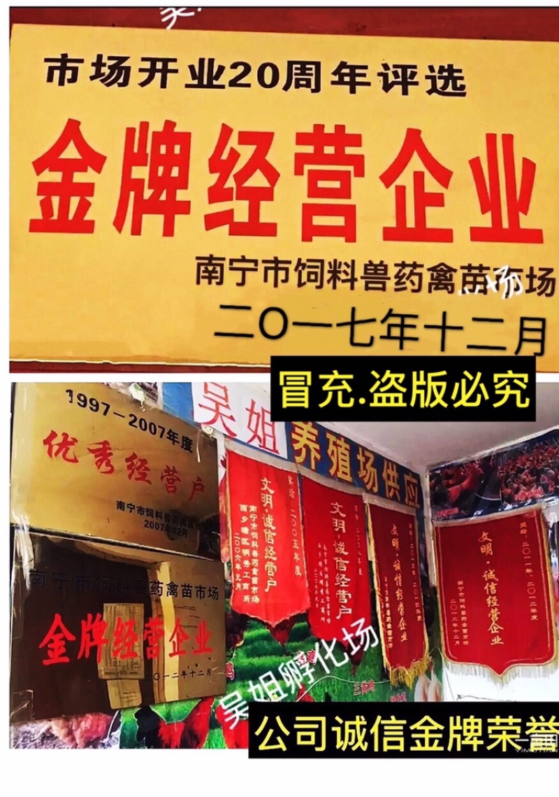 快大麻鸡苗.质量保障，店有〈诚信企业〉证书